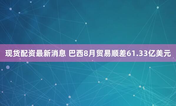 现货配资最新消息 巴西8月贸易顺差61.33亿美元